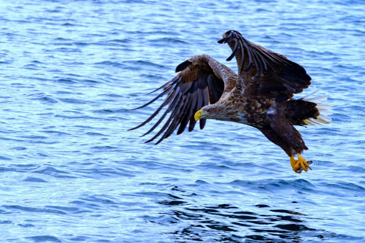 Kvalvika Retreat - Lofoten เลคเนส ภายนอก รูปภาพ